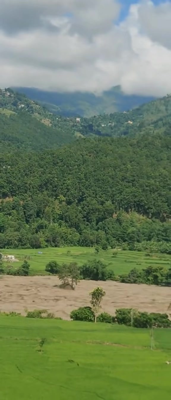 @𝗠𝗣 𝗦𝘂𝗯𝗲𝗱𝗶