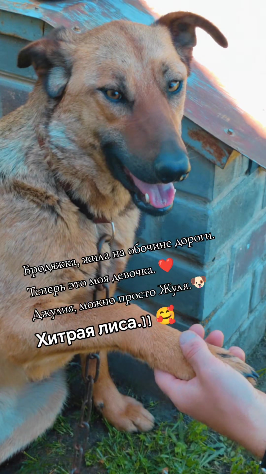 @🤗Леночка