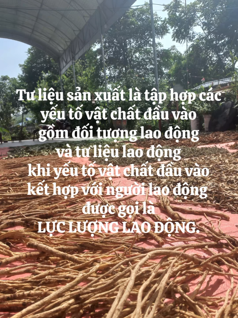 @Đ&ocirc;ng y VŨ VĂN D&Acirc;N