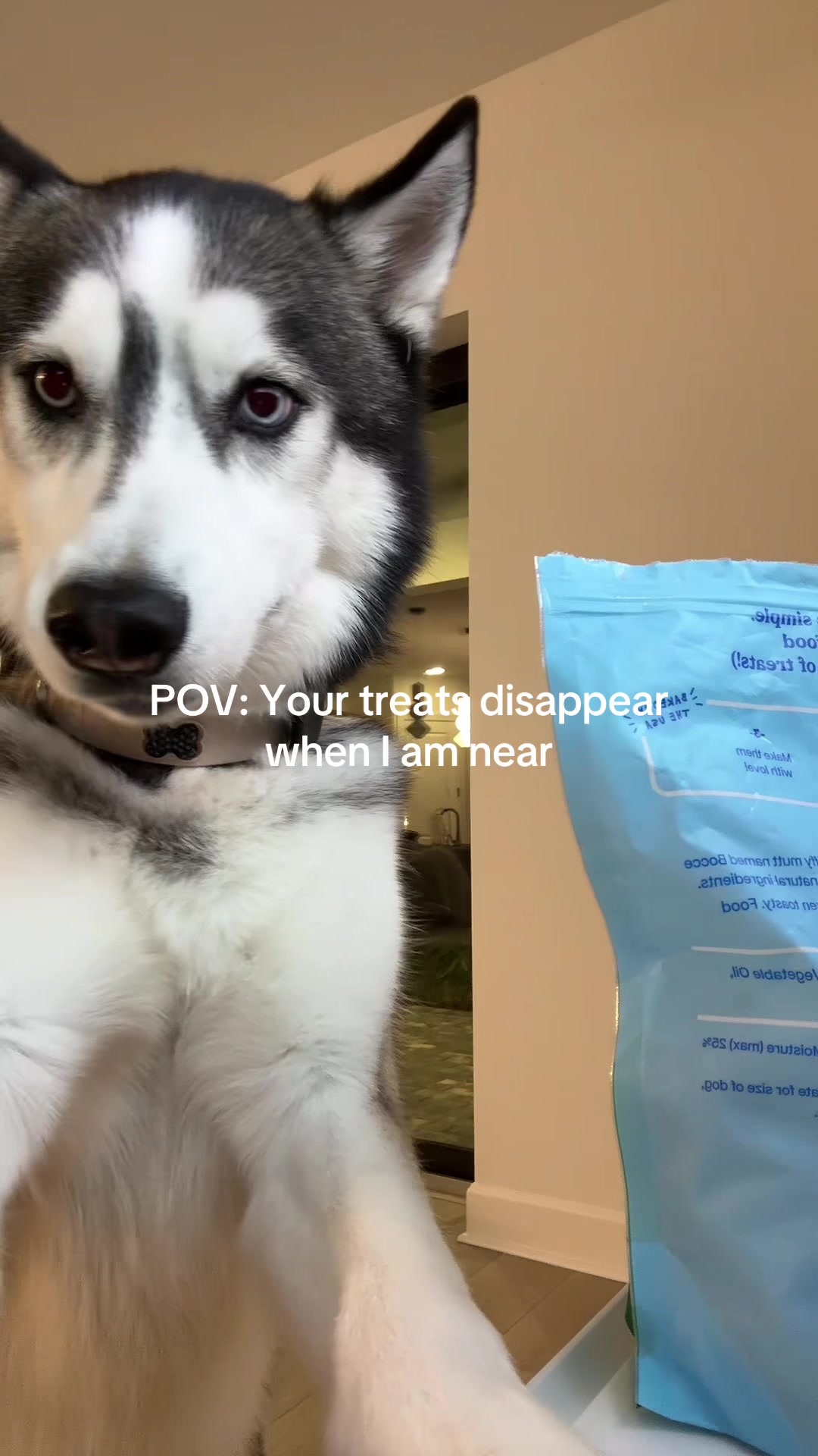 @lifewith2huskies