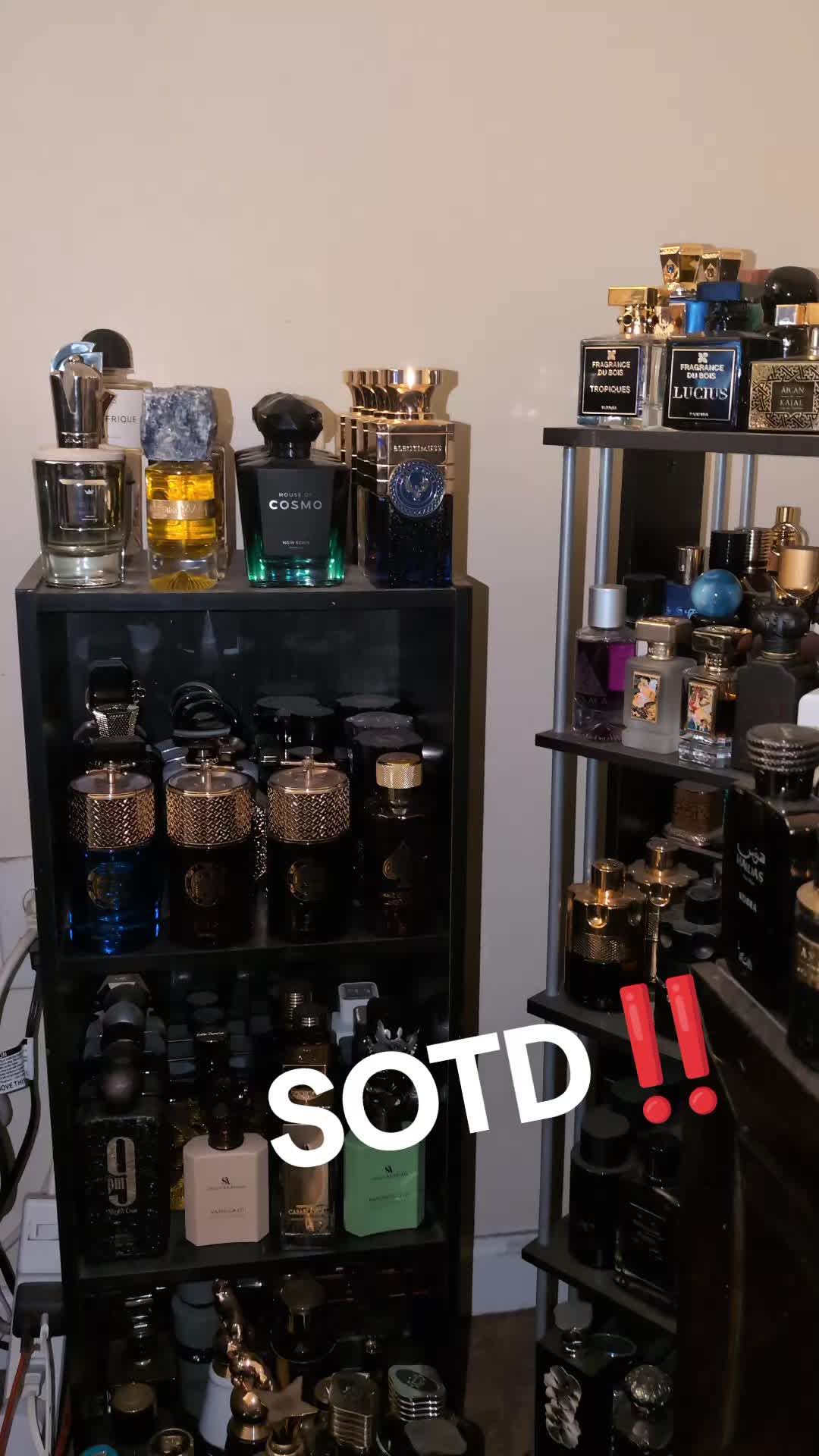 @ScentGod5