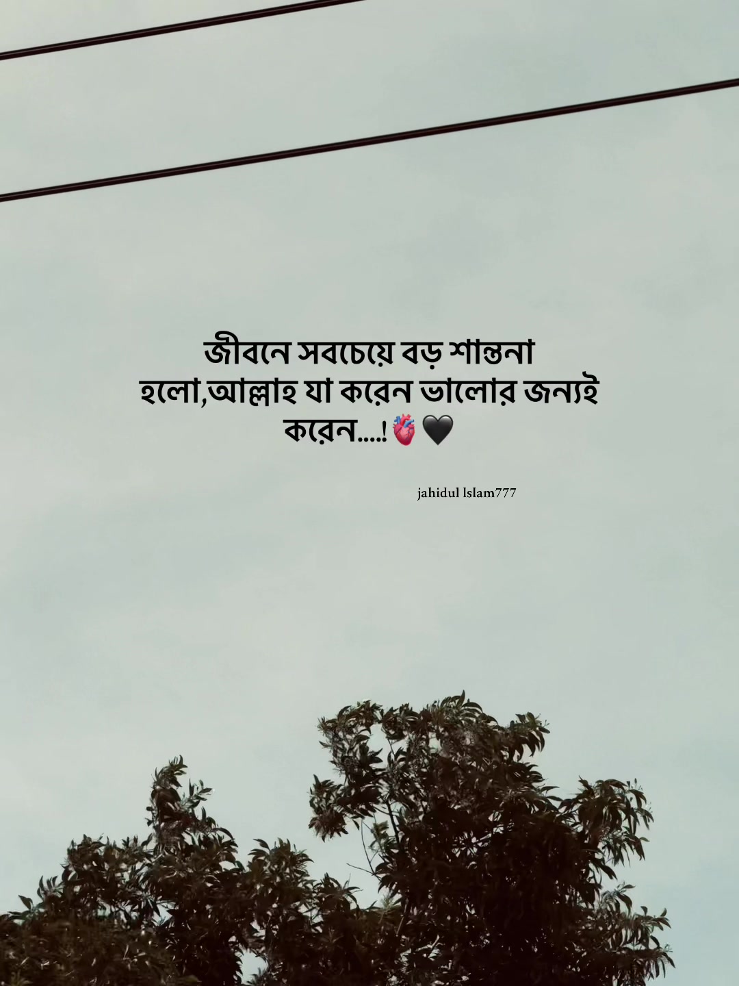 @Jahidul lslam 95