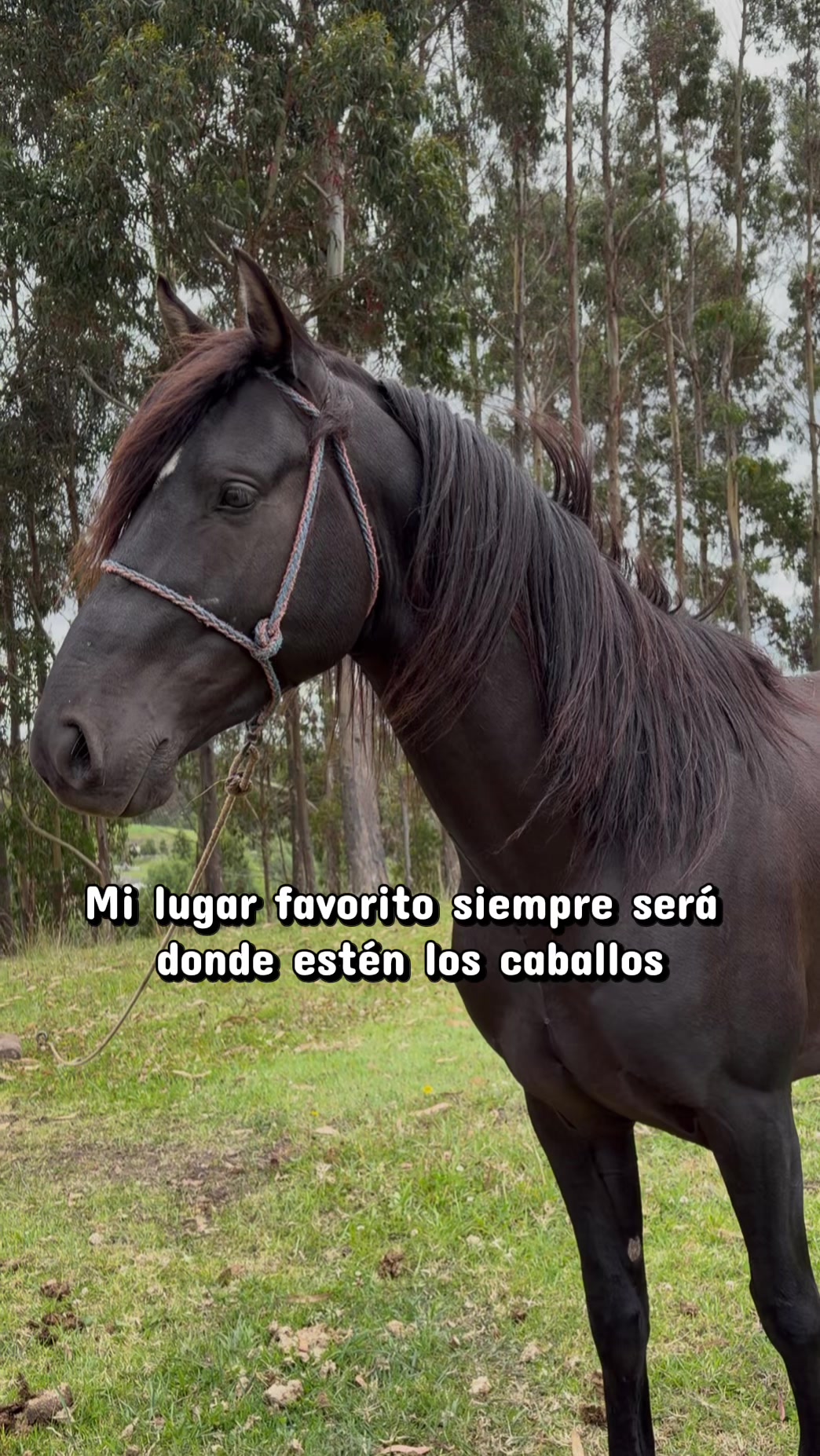 @Cuadra Casa Grande