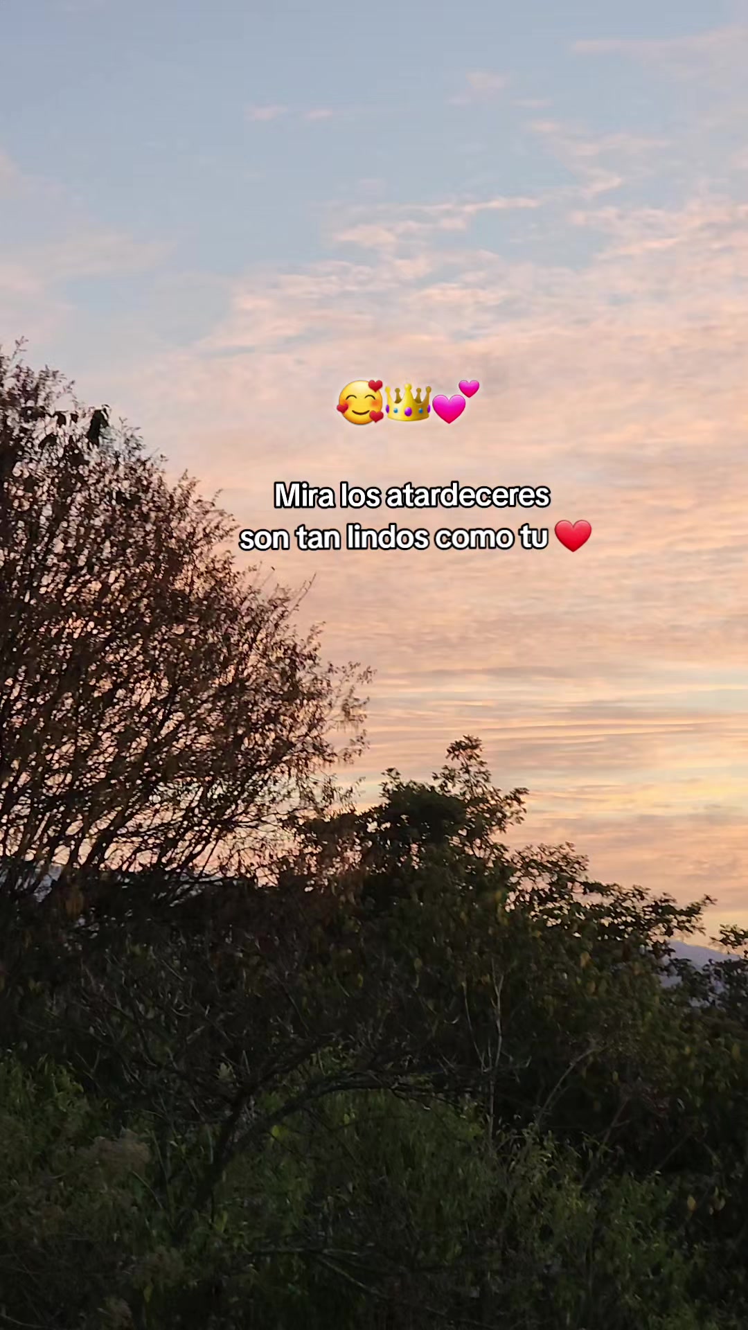 @🤍🌷Sucely🌷👑