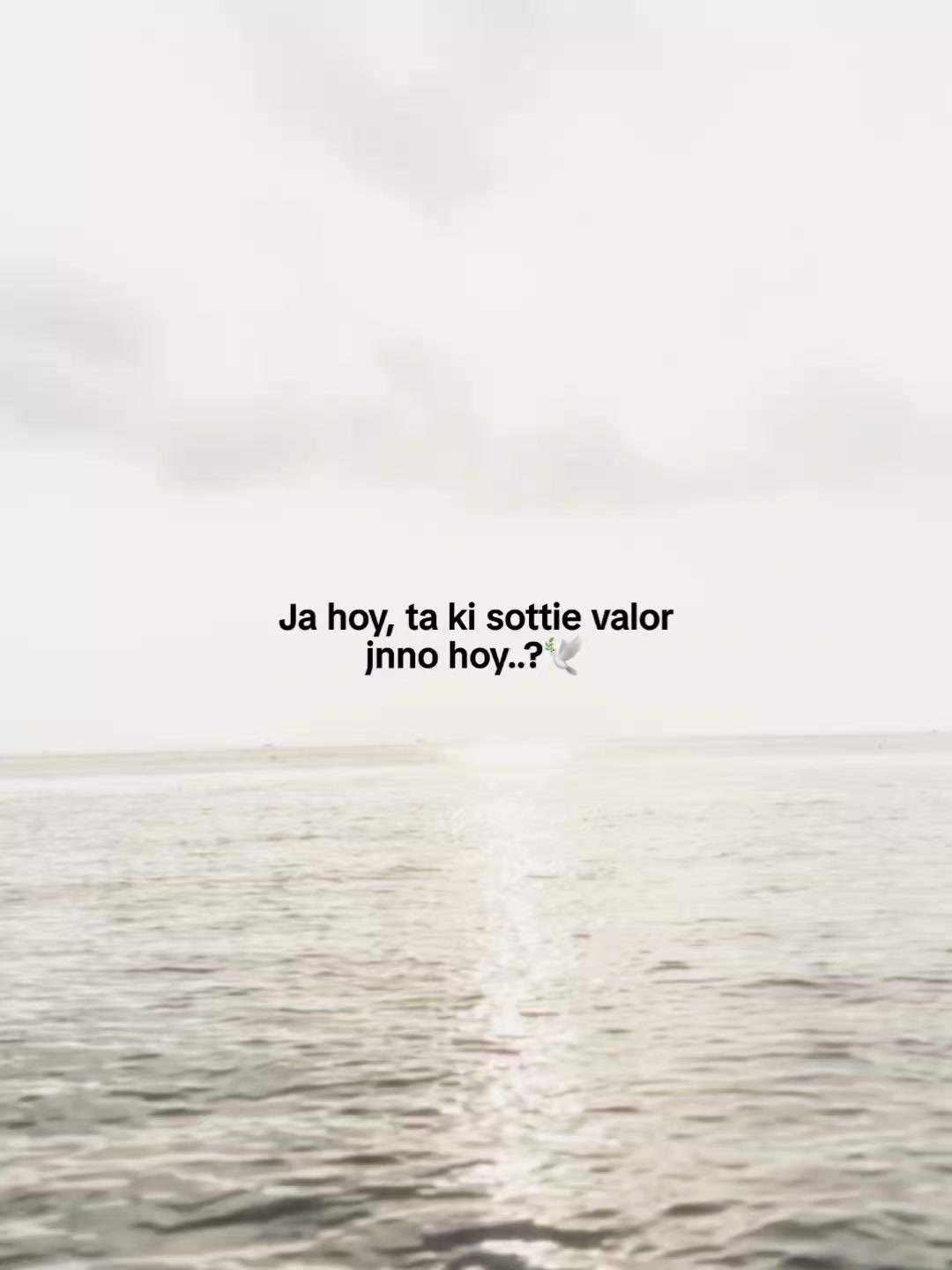 @Someone :)🤍🕊️✨