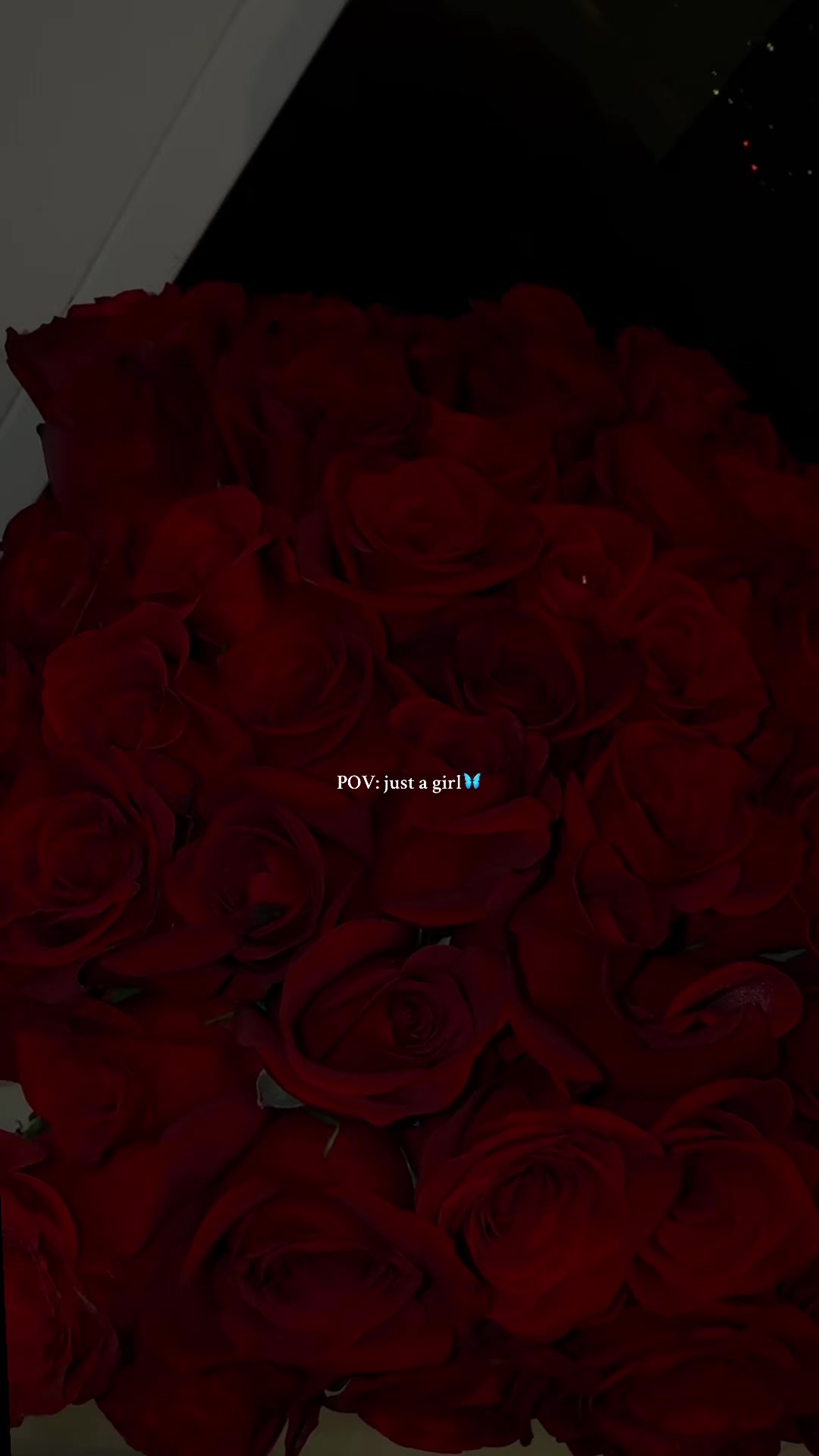 @𝐴𝑑𝑒ꨄ
