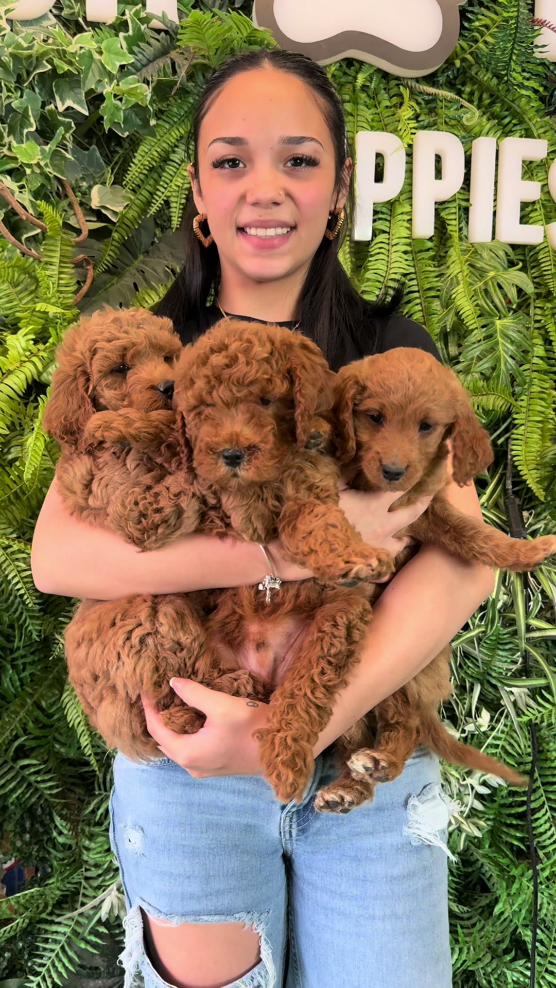 @FurbabyPuppies
