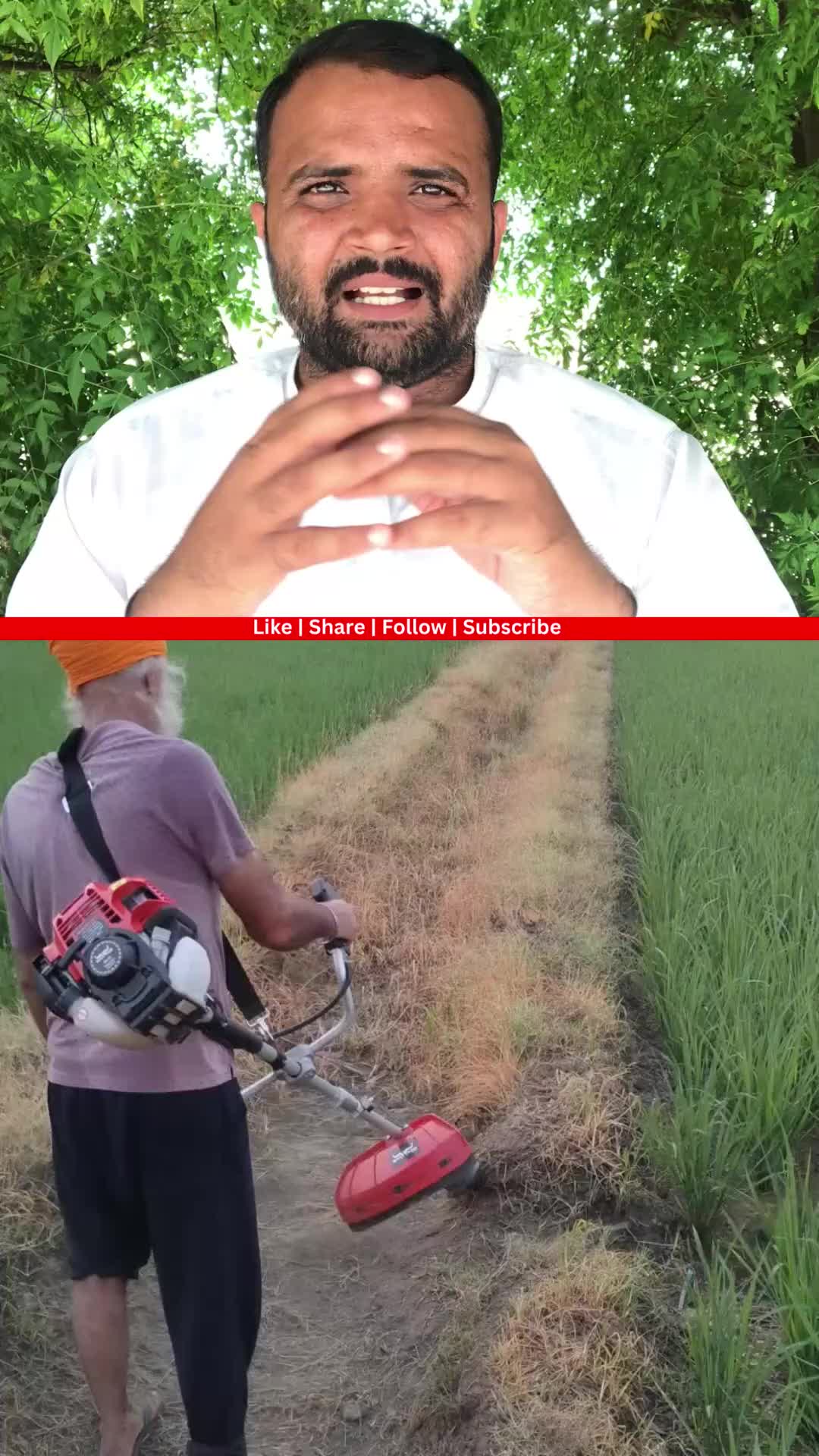 @Punjabi Shorts