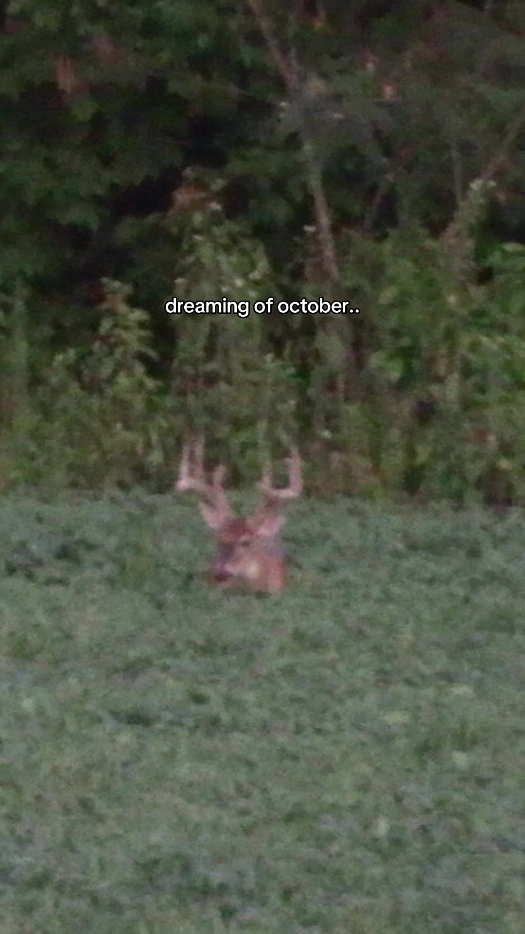 @Southeastern Outdoors