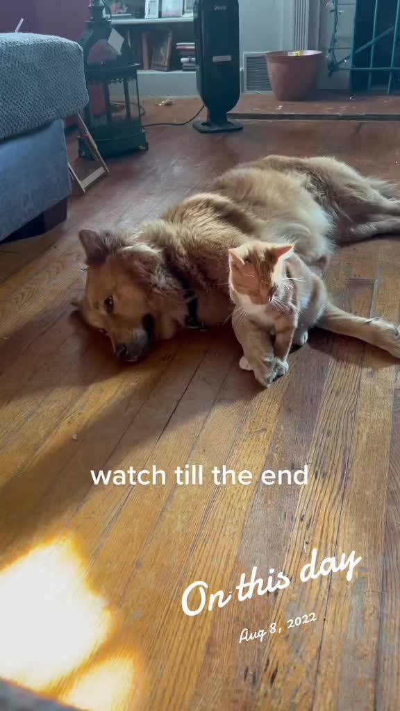 @Rivergurl