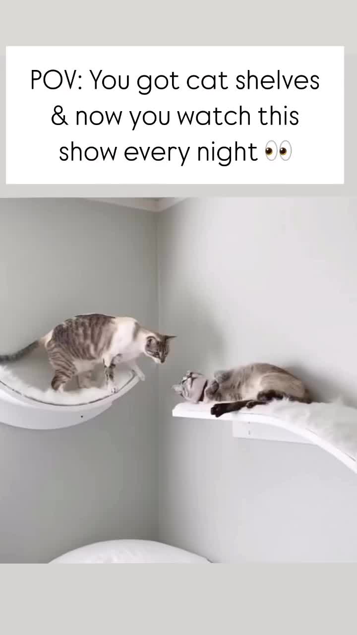 @The Refined Feline