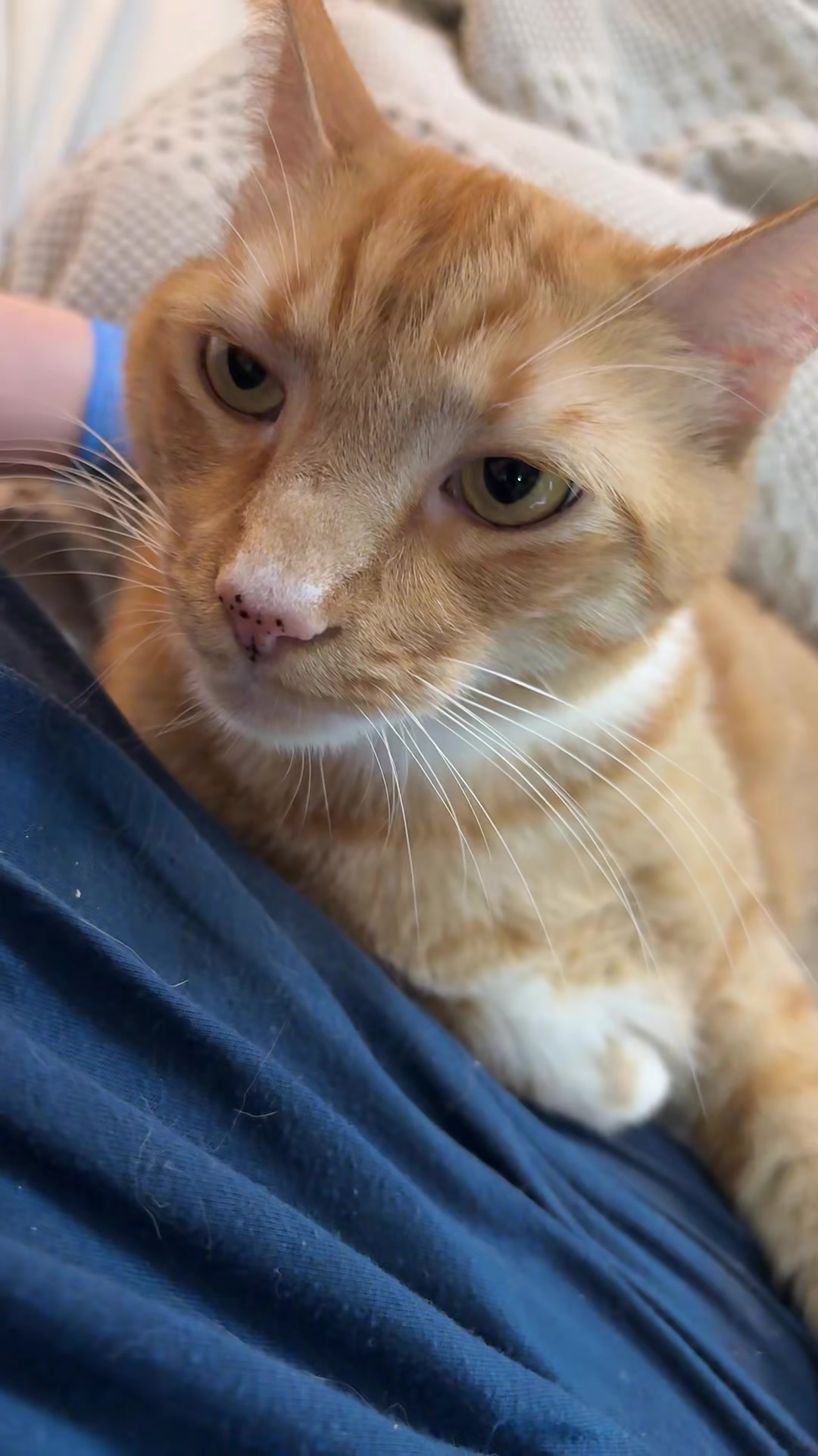 @terimsharpe