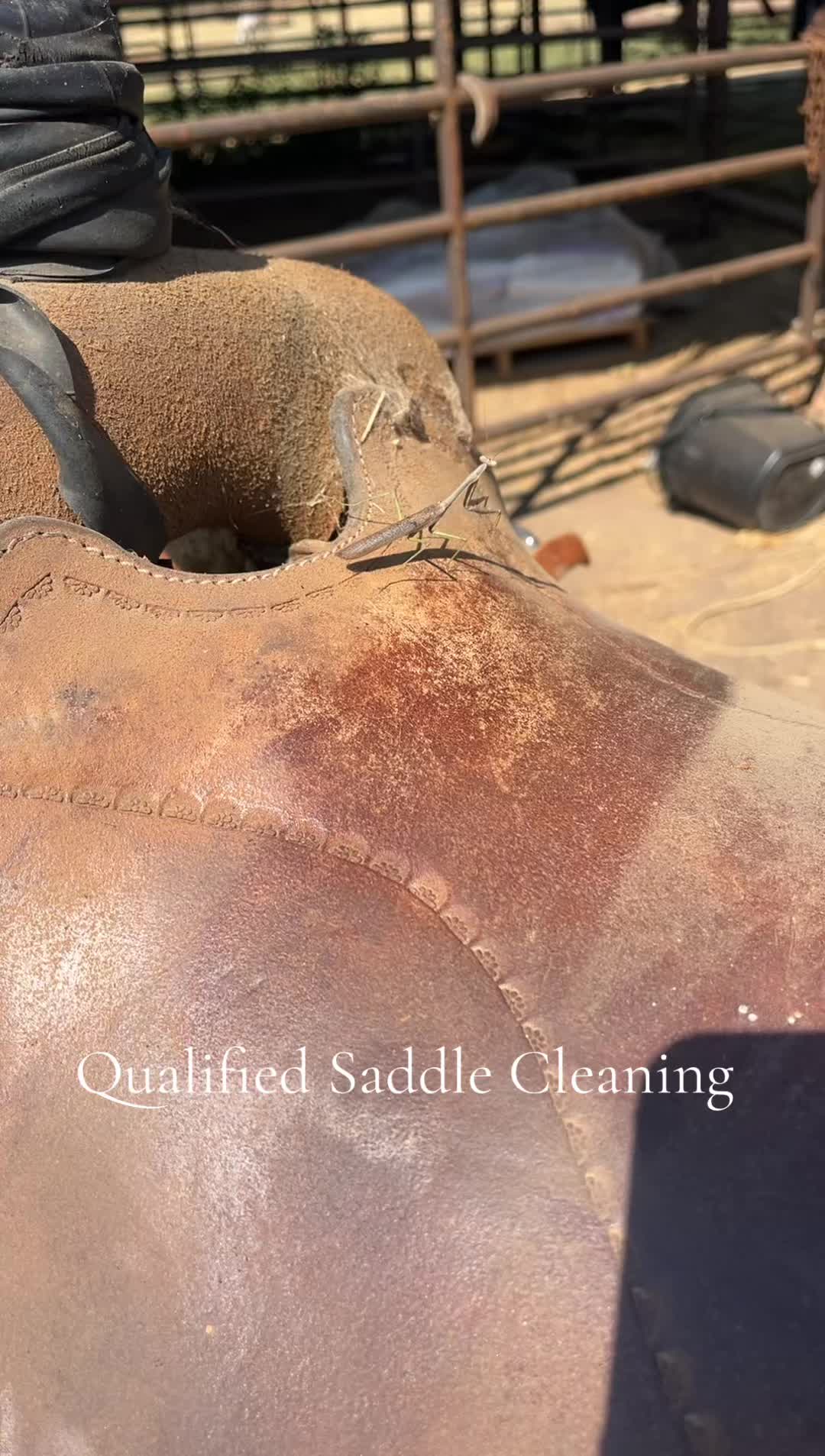 @Qualified Saddle Cleaning