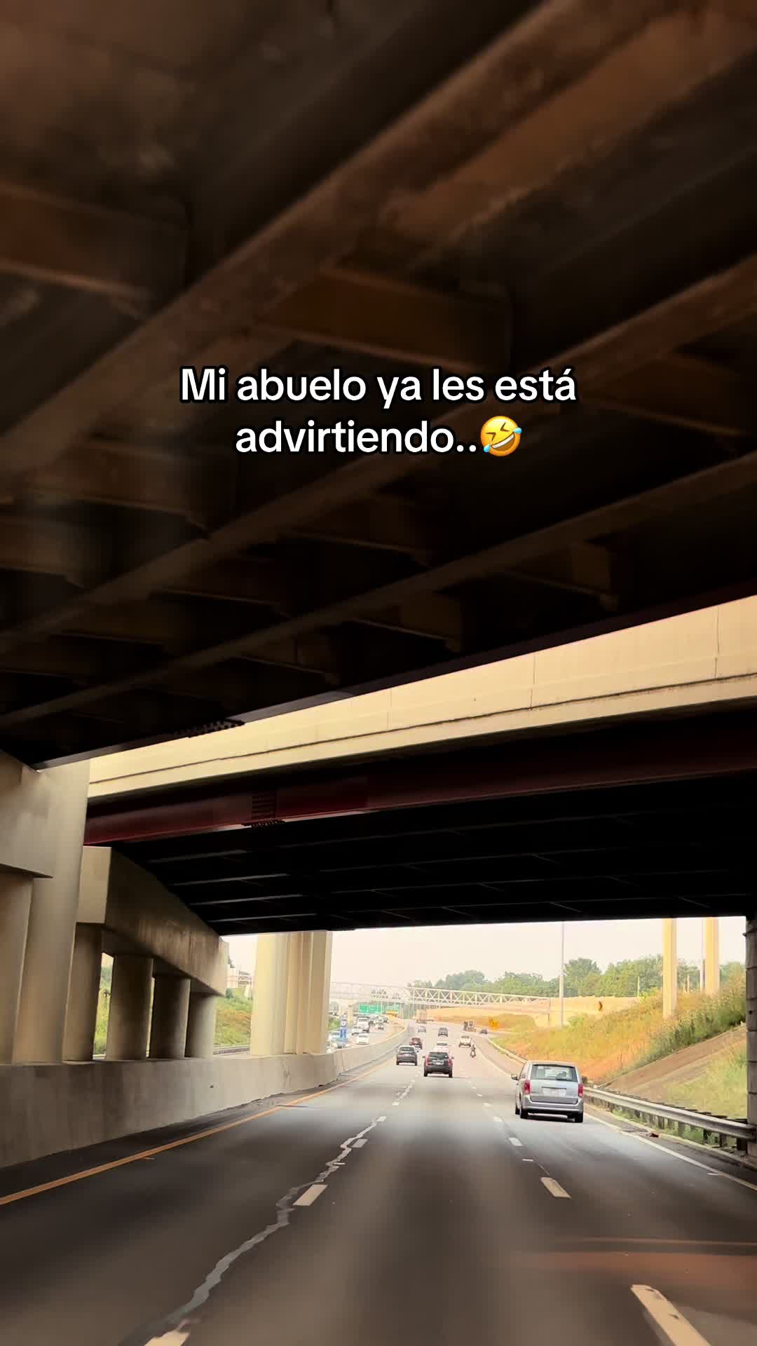 @El Gato503🐈⬛🇸🇻