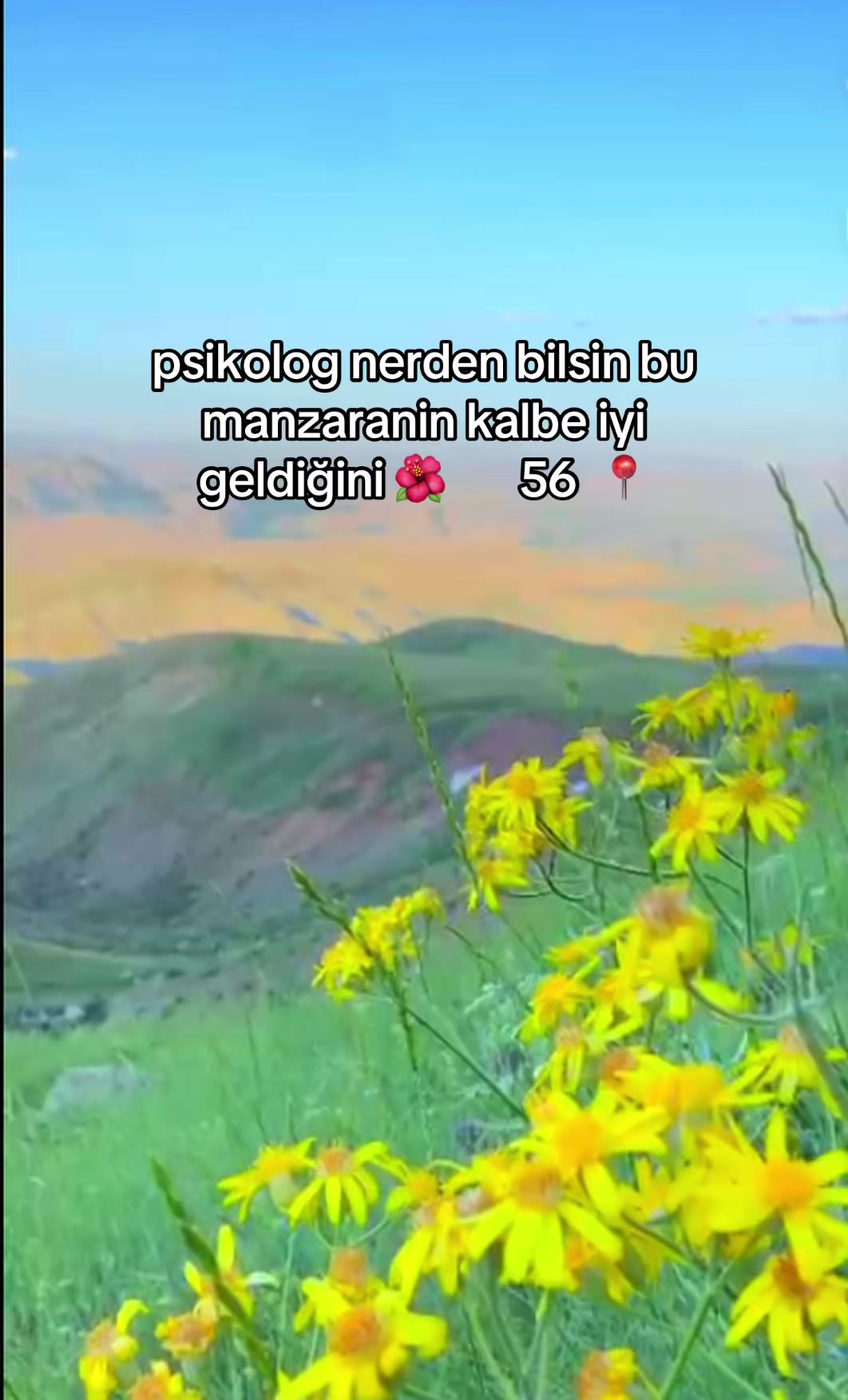 @ŞİYAR ✪