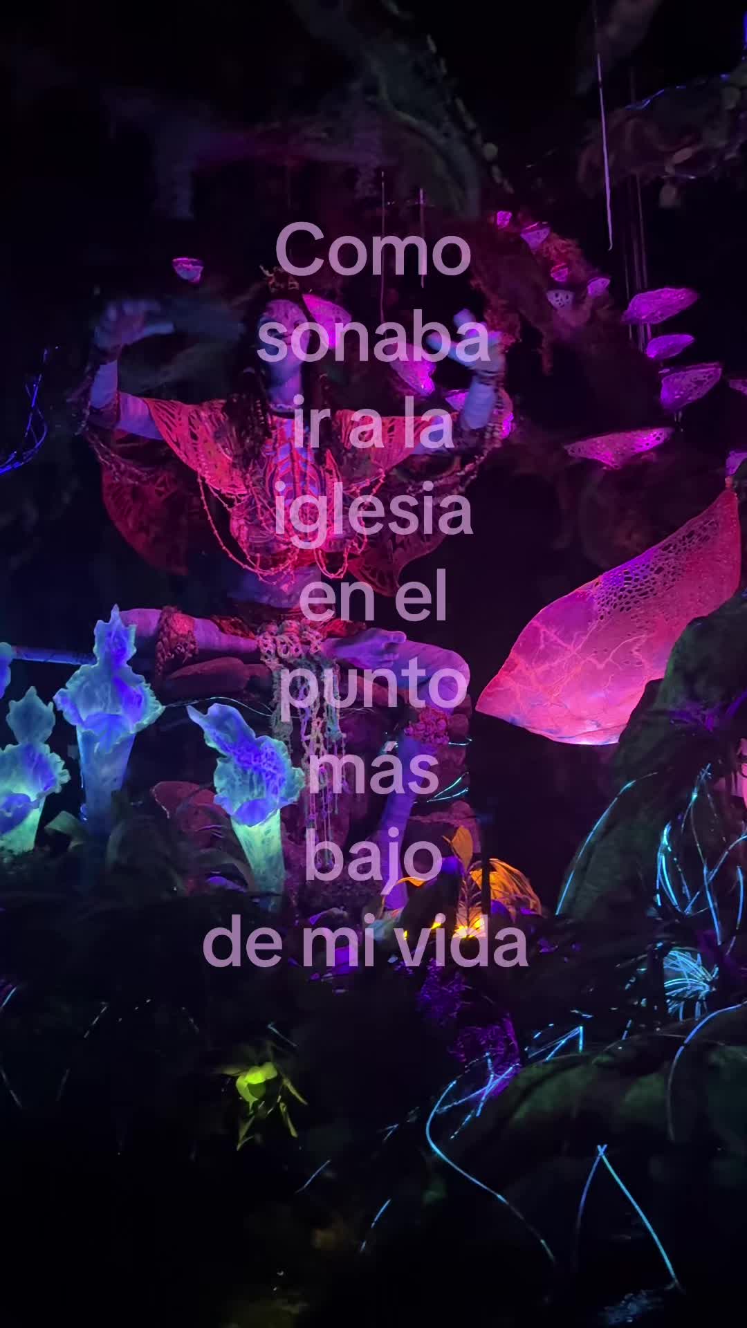 @dania_vsr