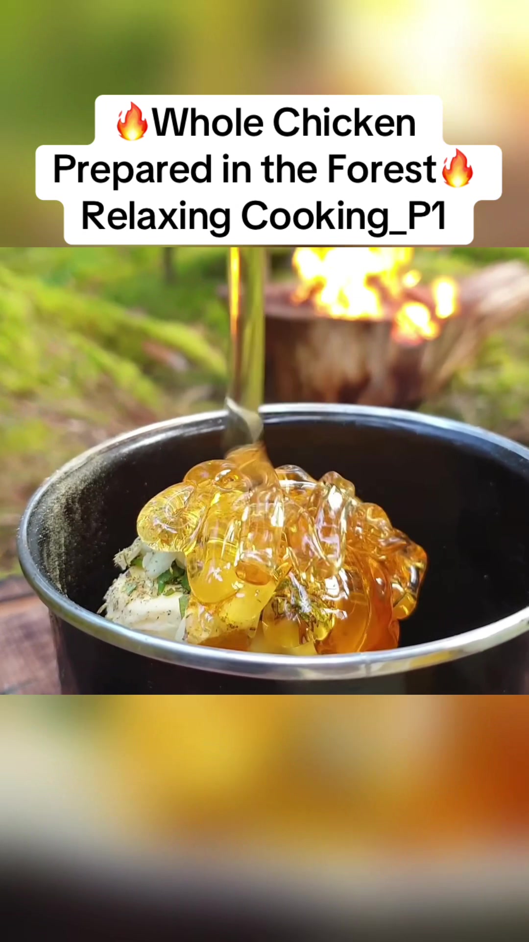 @Cooking In The forest
