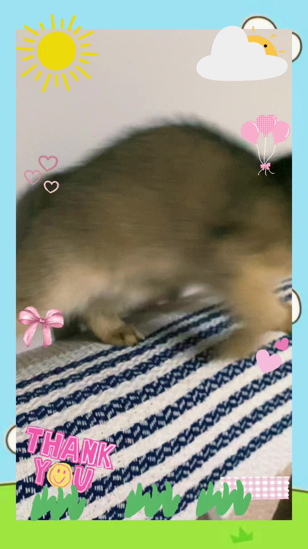 @🐾 Noya 🐾