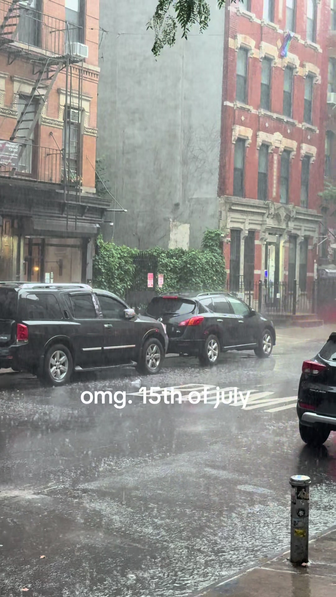@Brynn Cummins
