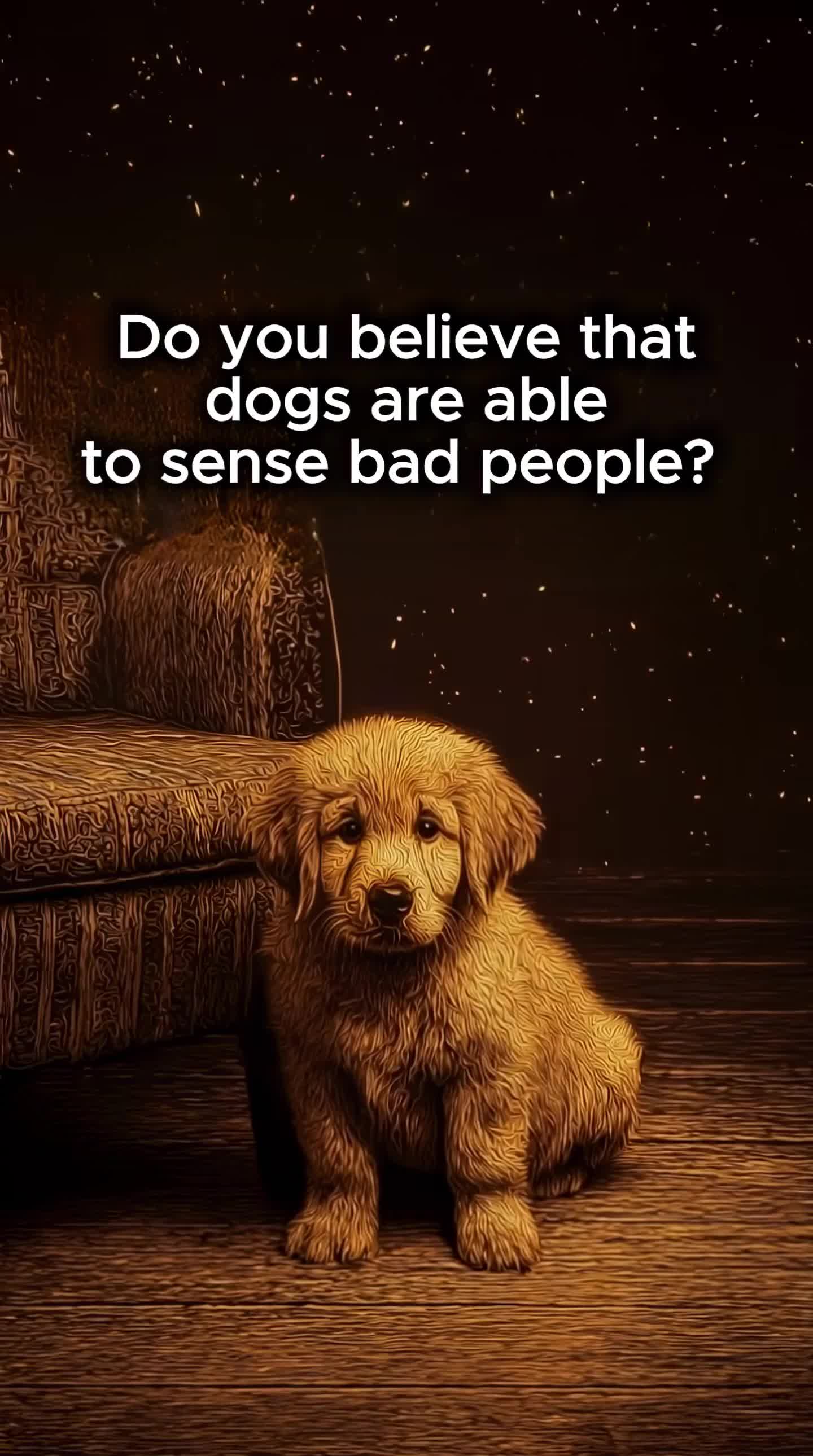 @middlepets