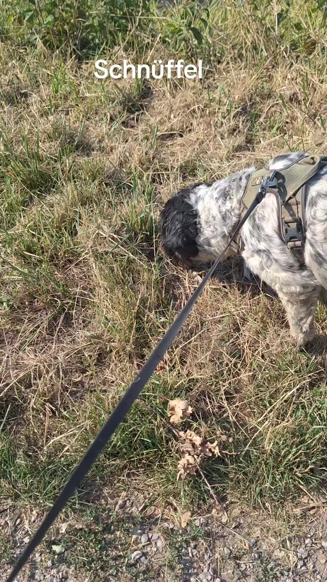 @erichkrauss2