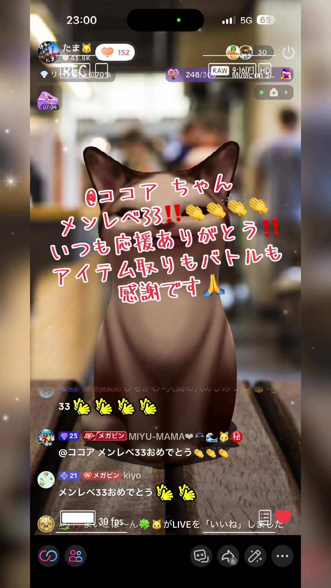 @たま🐱