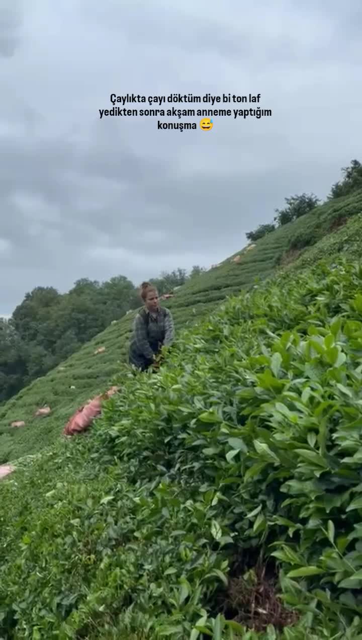 @Derya &Ouml;zt&uuml;rk