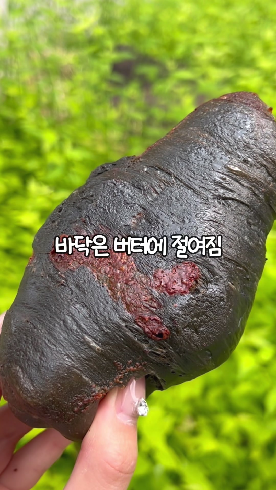 @잡식공룡
