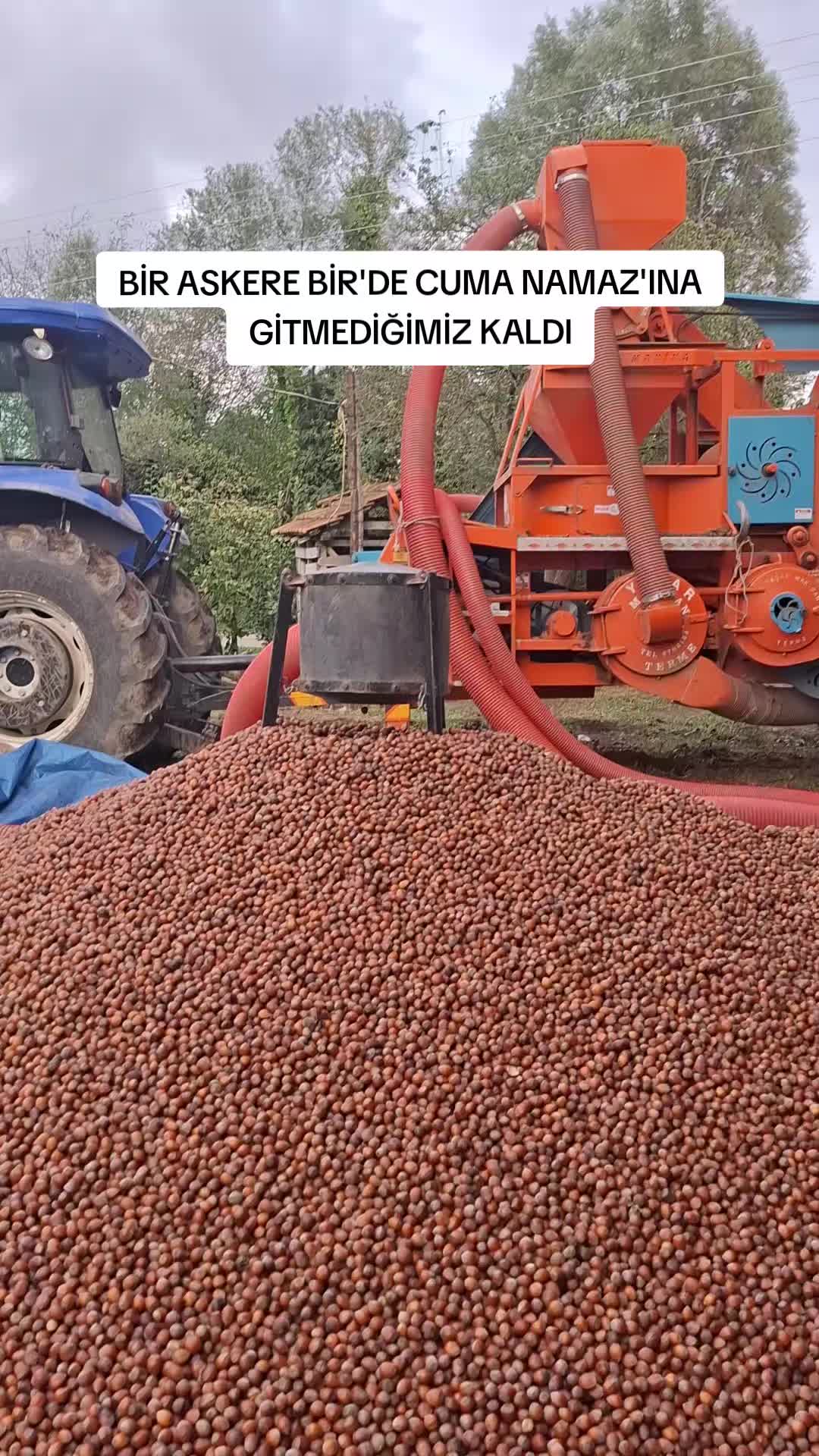 @nesibe Zengin ünlü