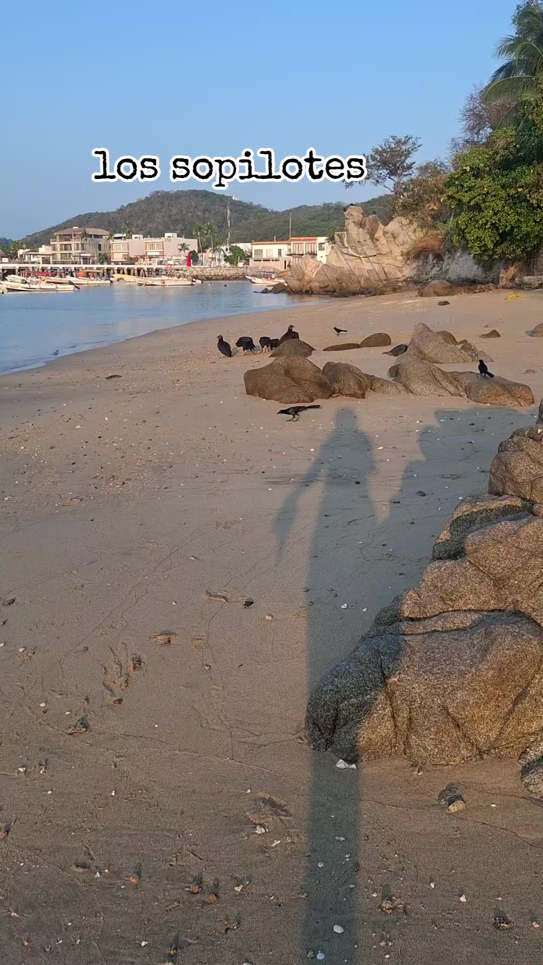 @Sol Pati&ntilde;o Duron
