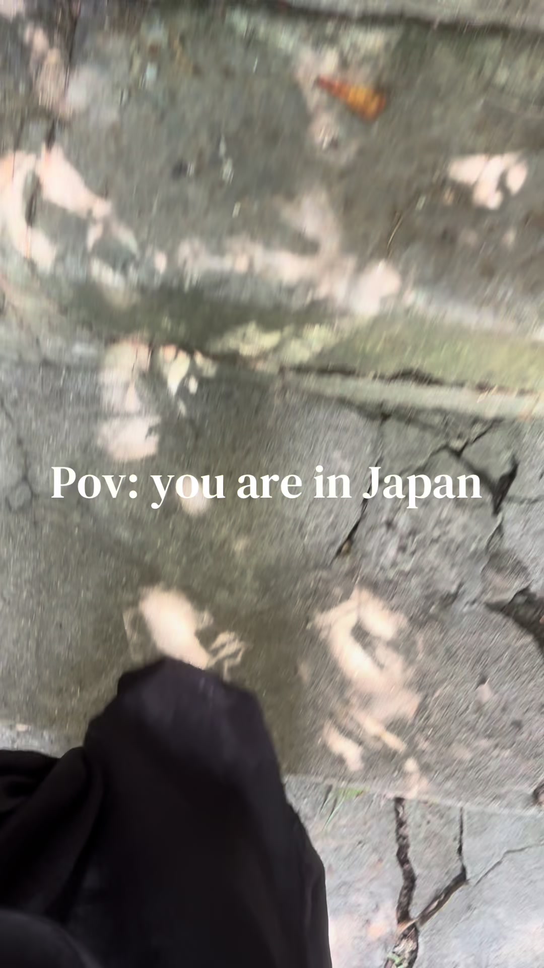 @Mushu