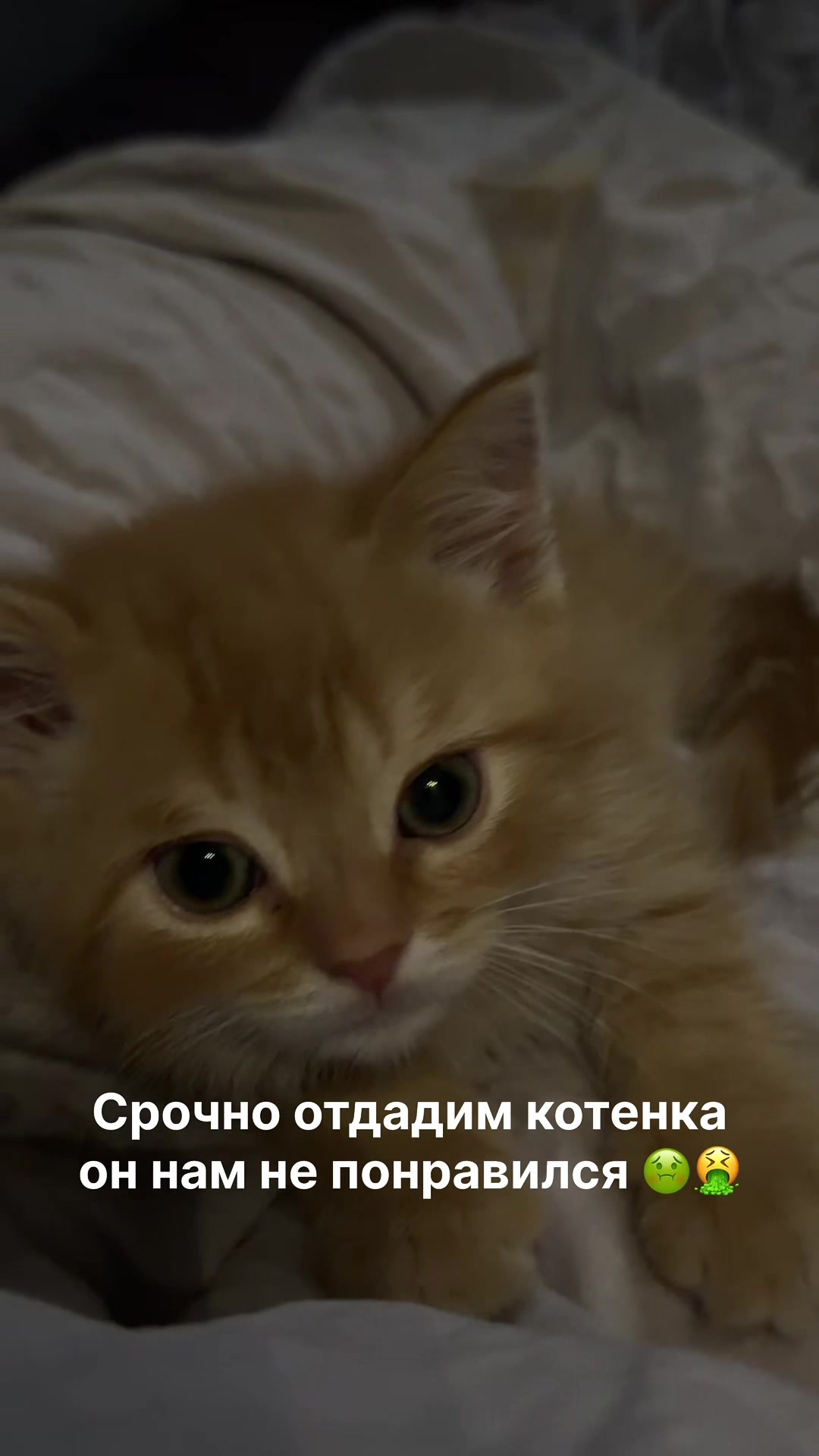 @kkaterina_w👼