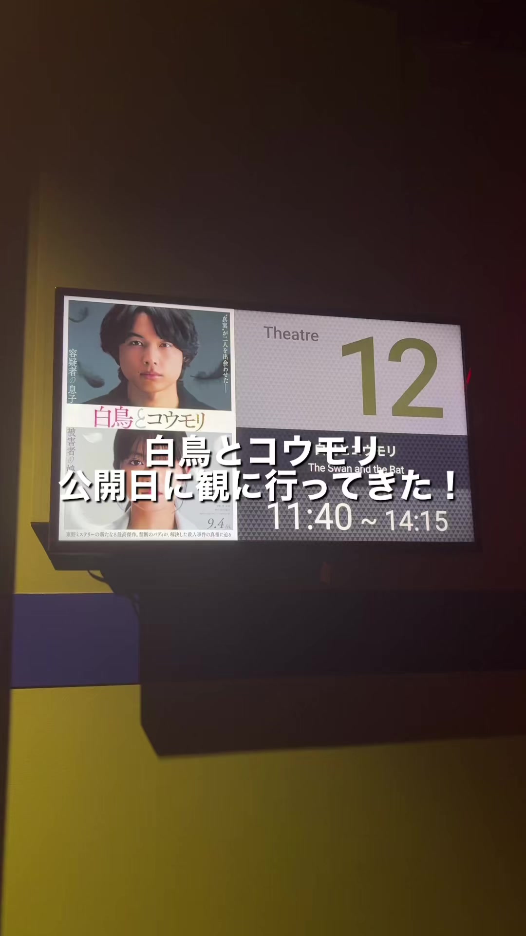@36.8℃
