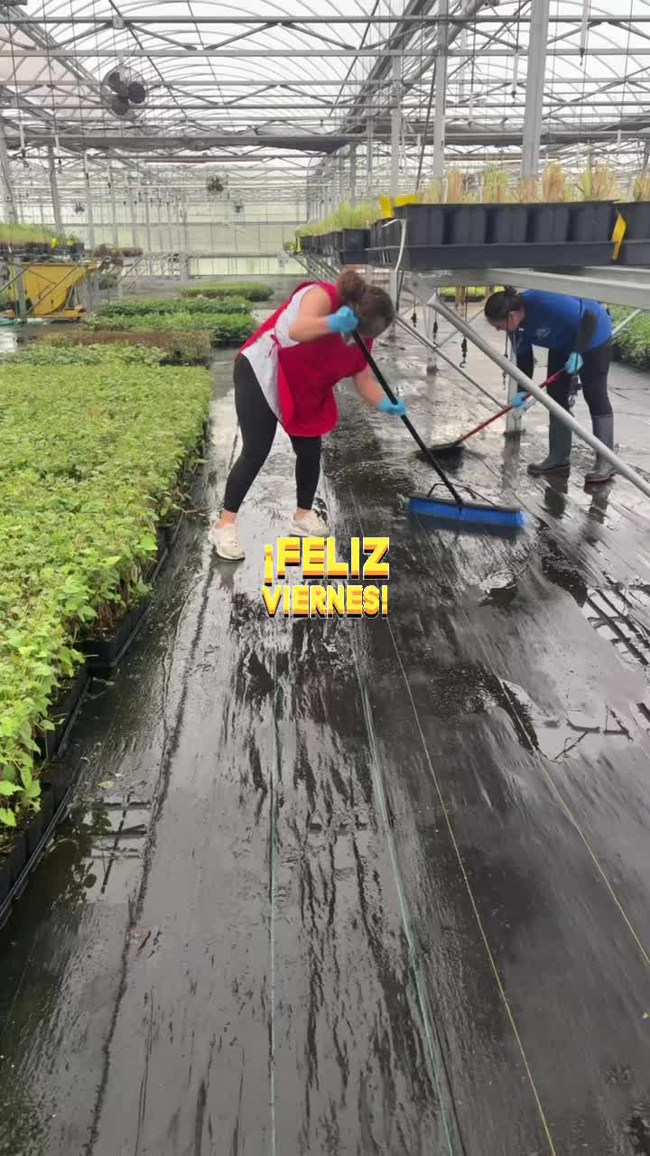 @Maria Ruiz