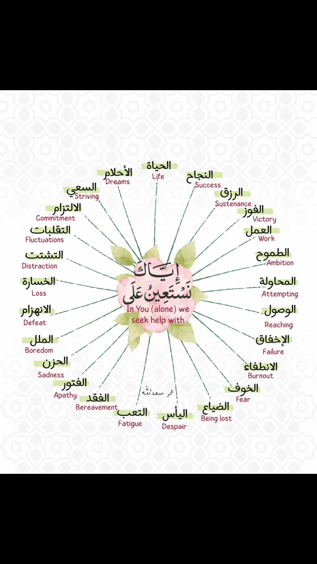 @Dr HASSOUN02 طبيبة الاسنان شلف