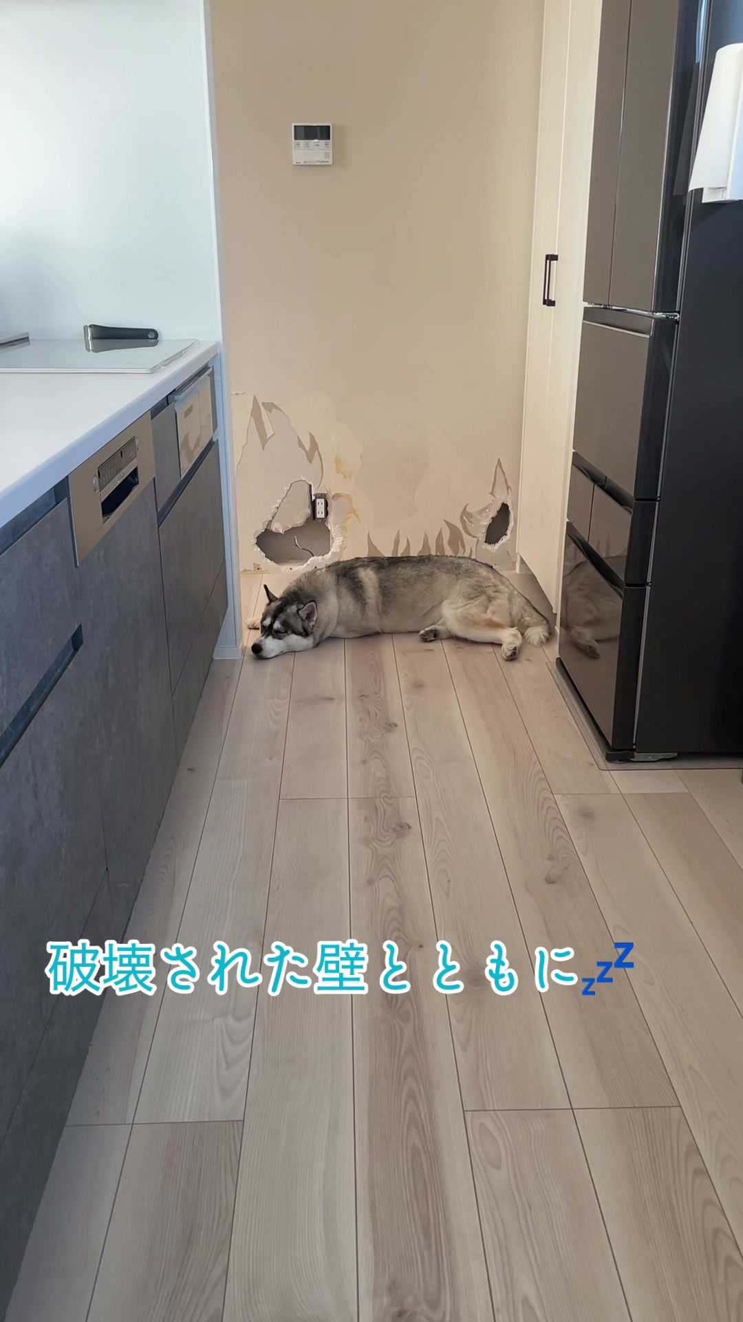 @サン☀️とムーン🌙