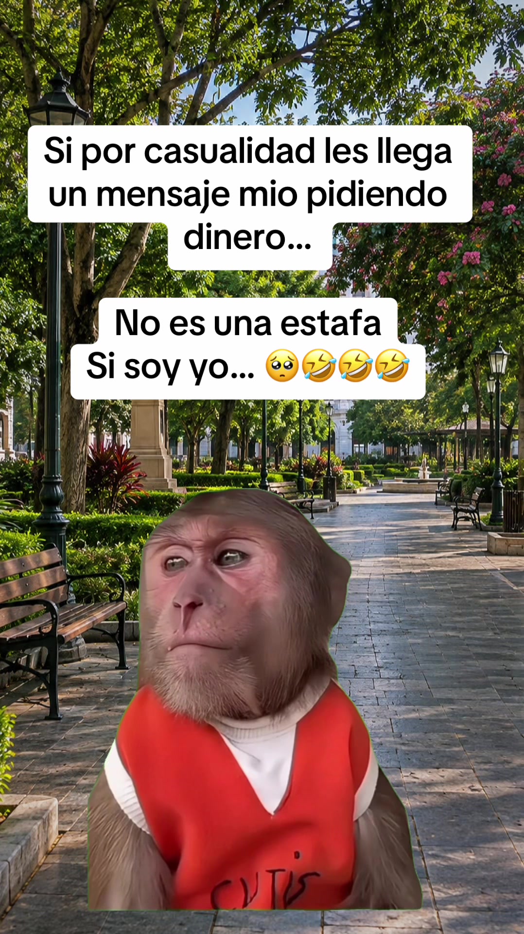 @Memesfactory