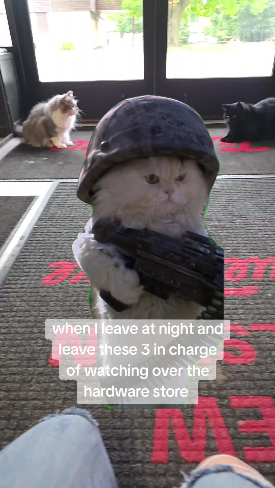 @Hardwarechic