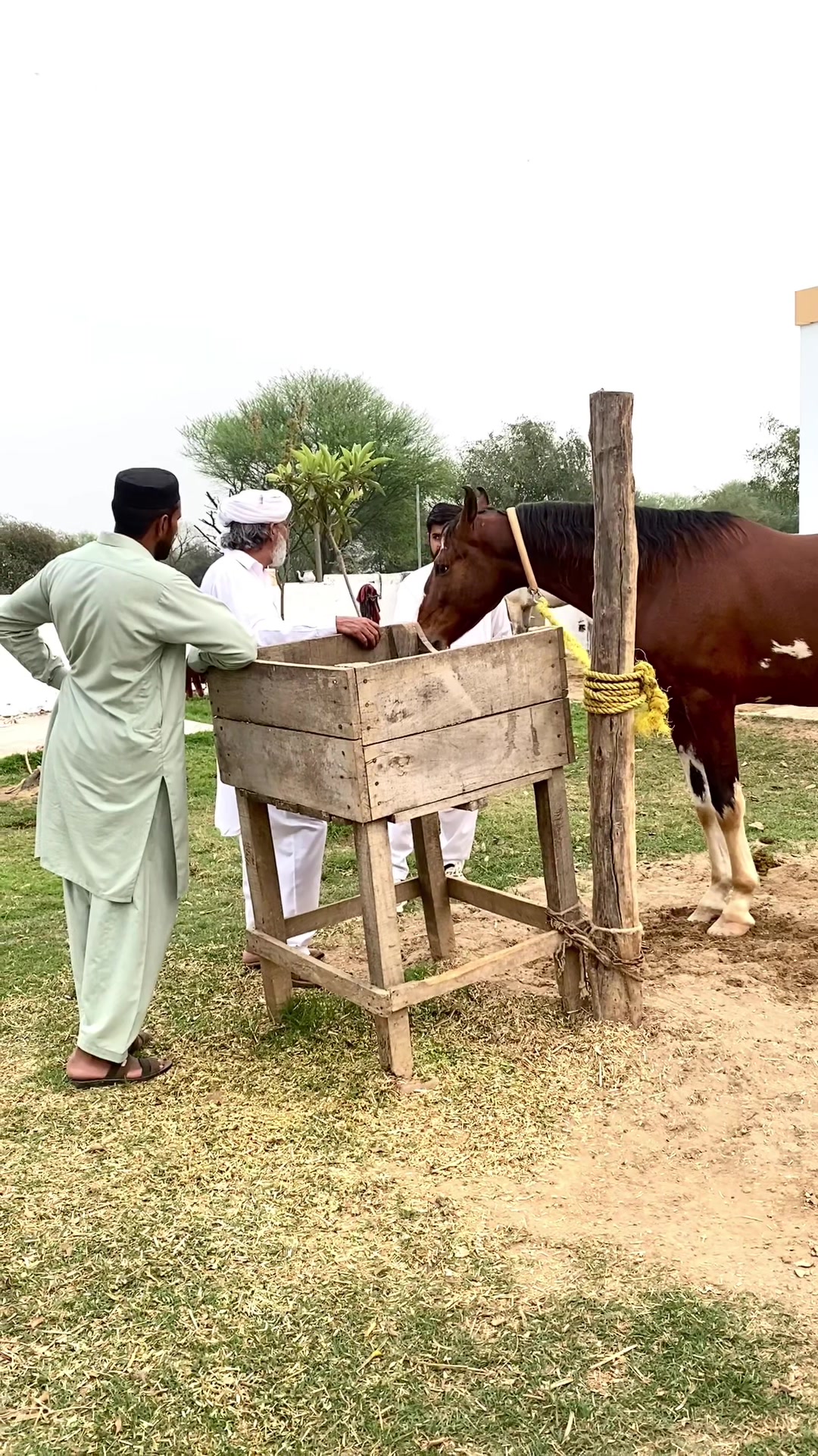 @Fahad JaTT Gangaal