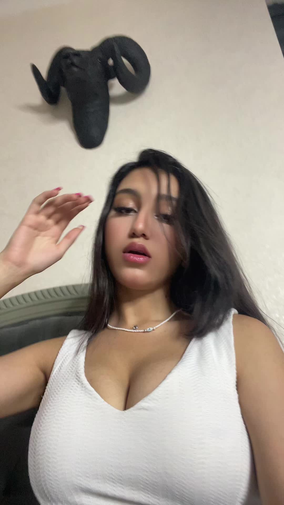 @armitaardalan