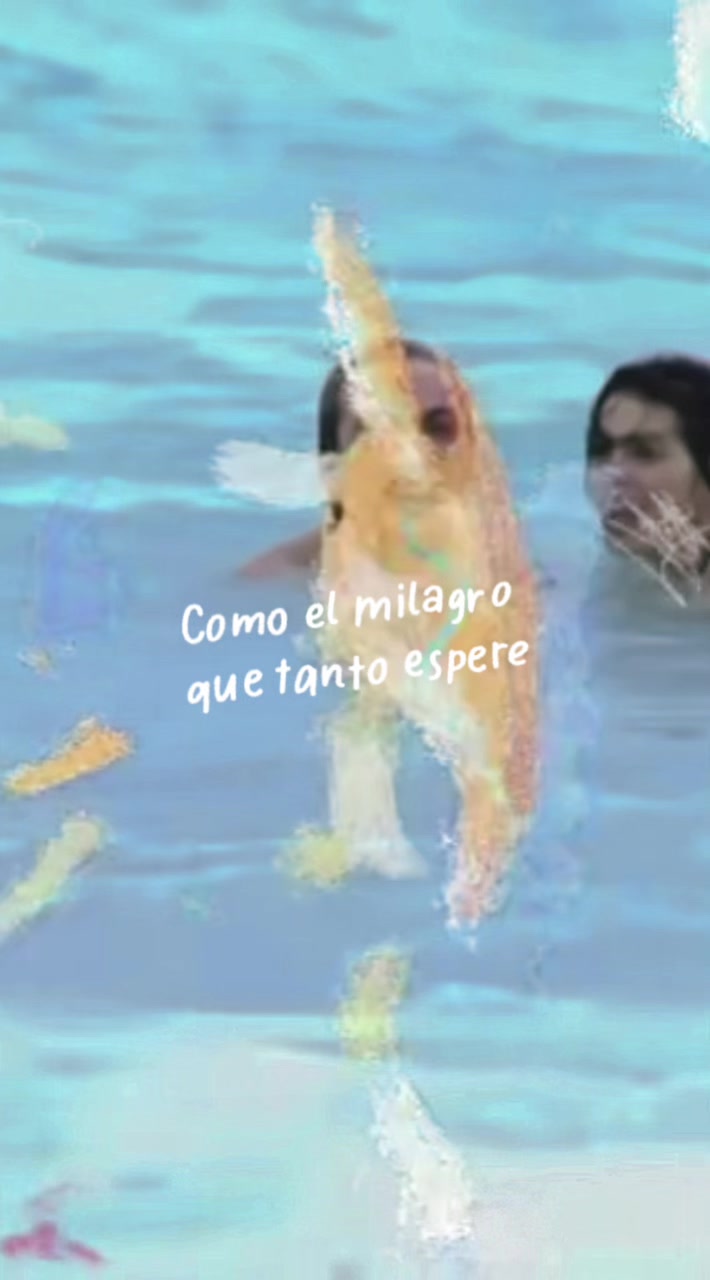 @Lxs Despechadxs