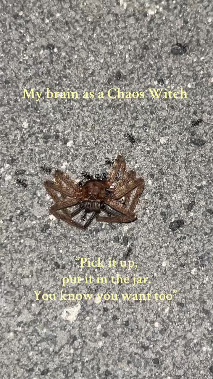 @Rose Moon Magick🕷️🪷