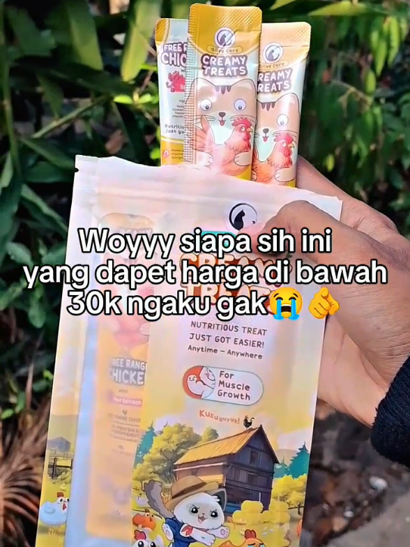 @Catman