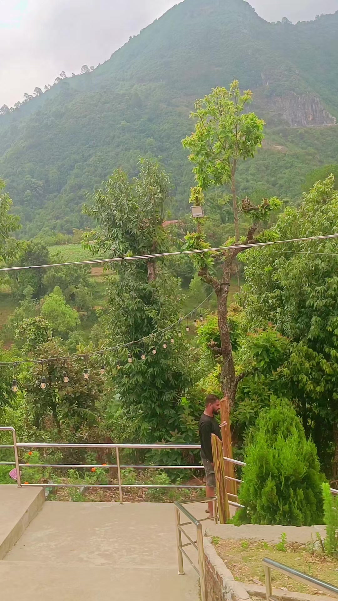 @अजय यादव