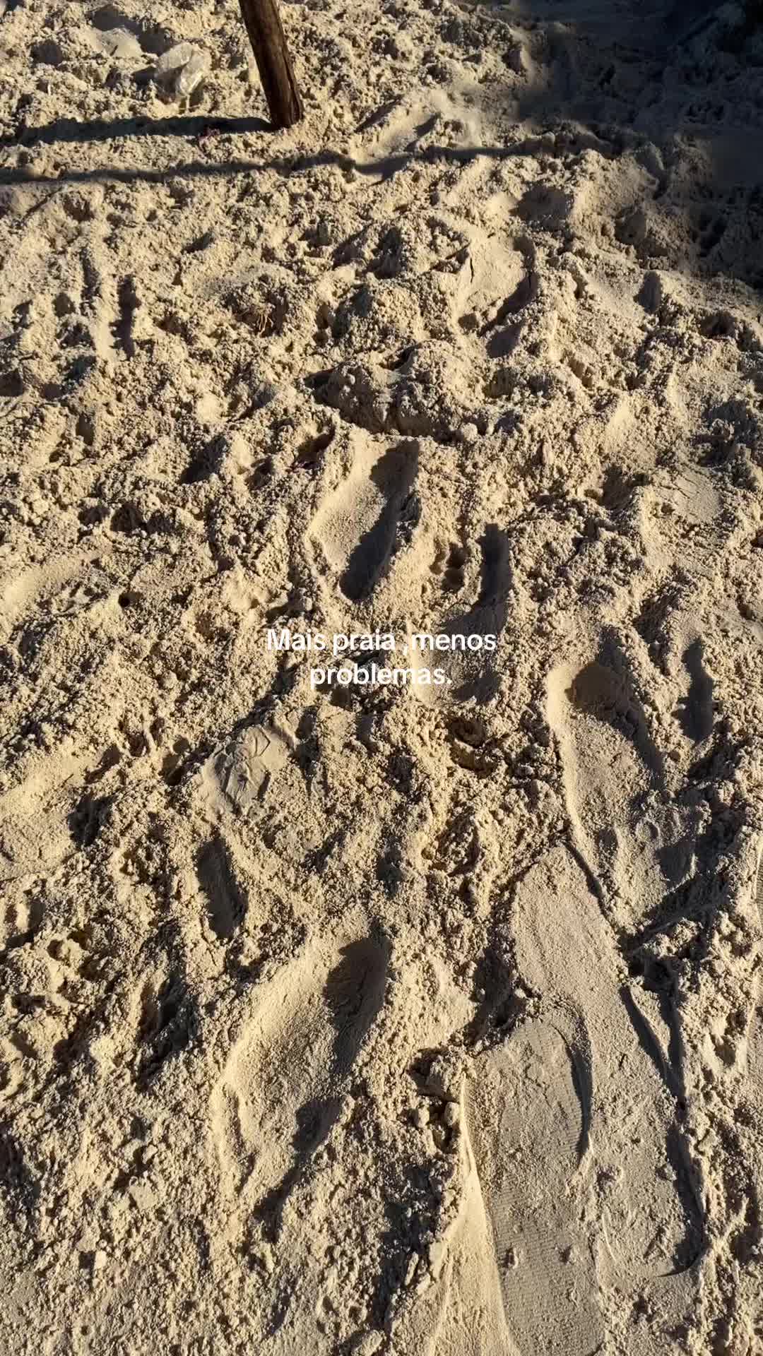 @macianovianna99