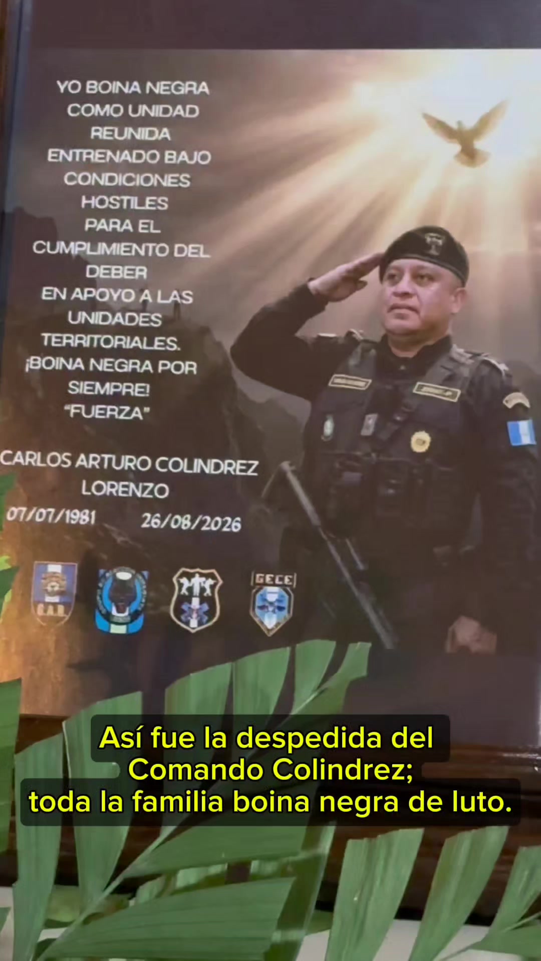 @Rafael Junior