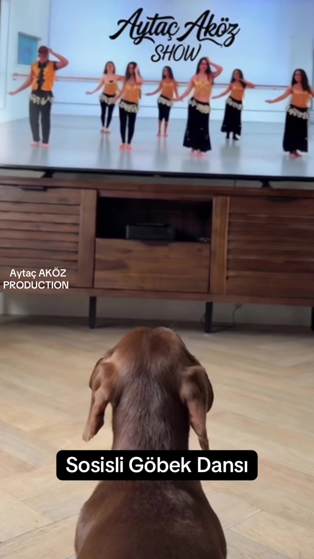 @aytac_akoz