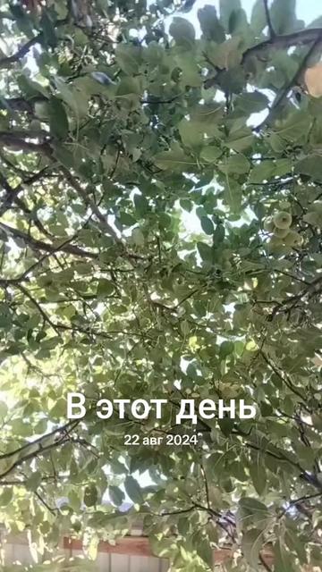@Rustam