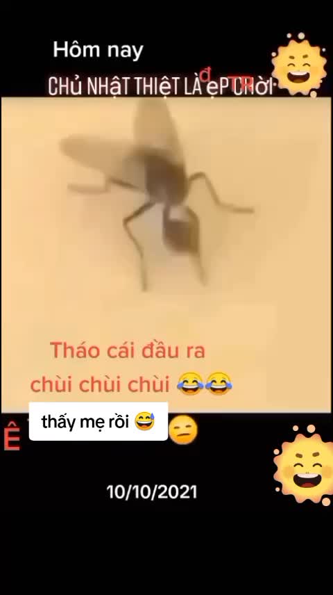 @Nguyễn Văn Hiền