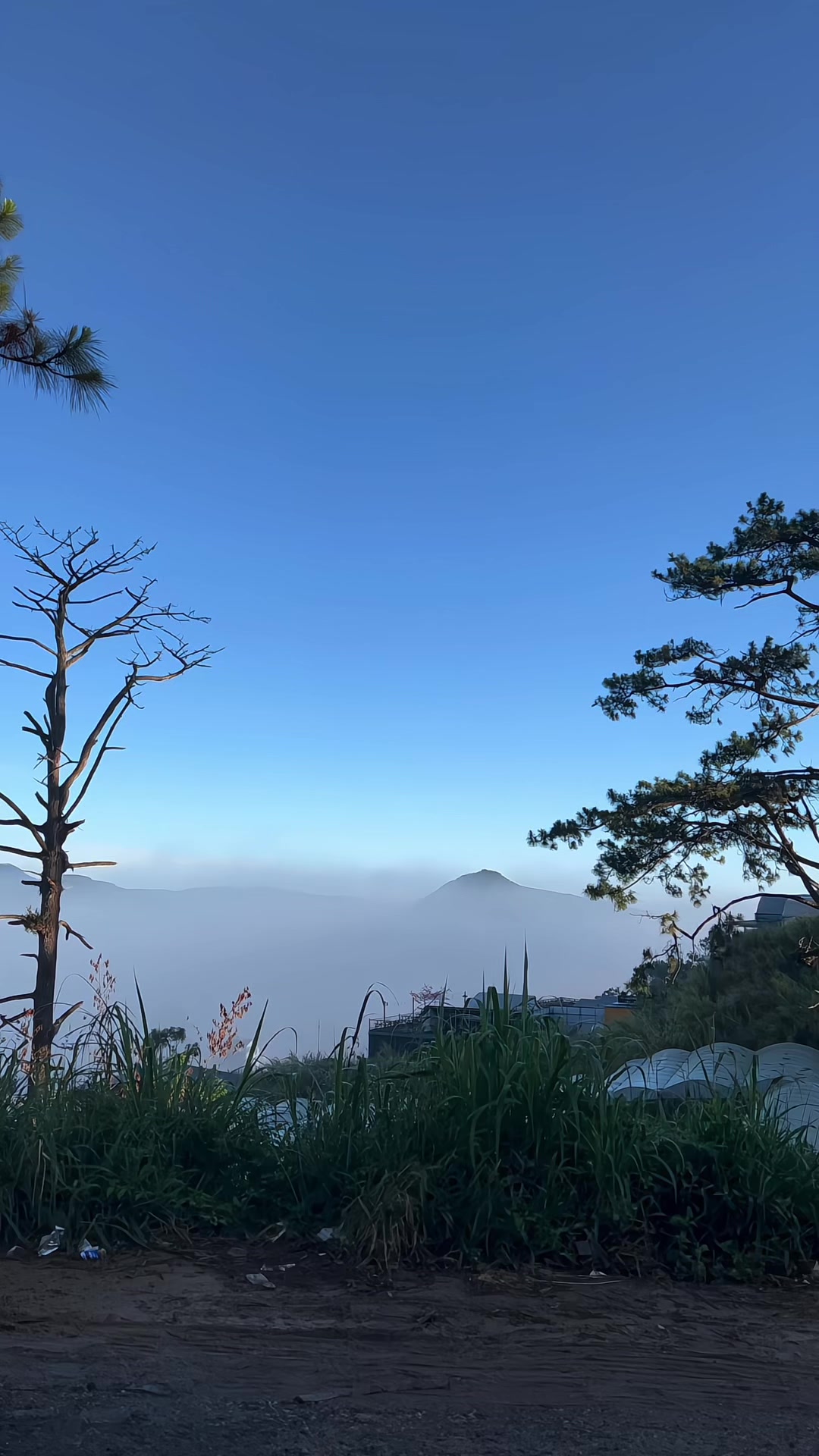 @Sang Da Đen